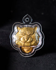 Tiger King Twin Tiger Immersed in Sacred Tiger Oil - Gold - Phra Ajarn Manat